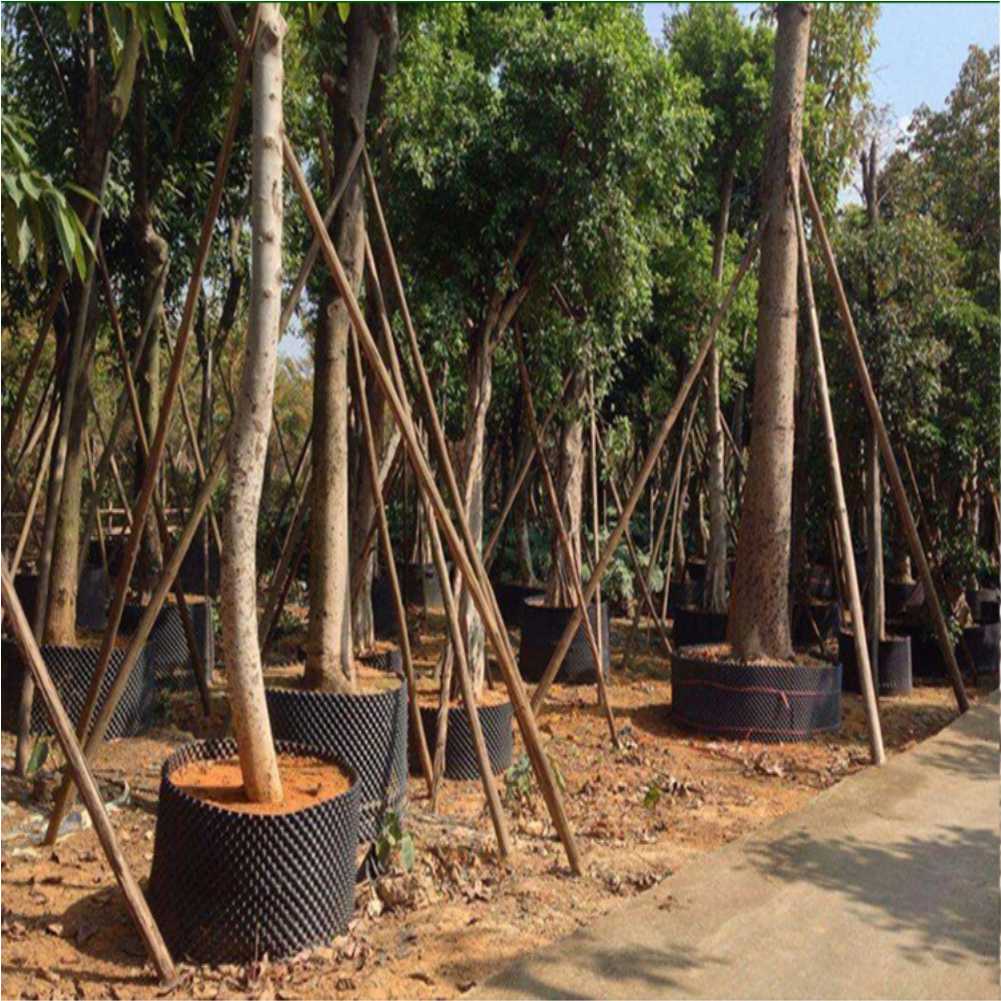 Vaso de Viveiro para Crescimen - Garden Tools avaliação e preço