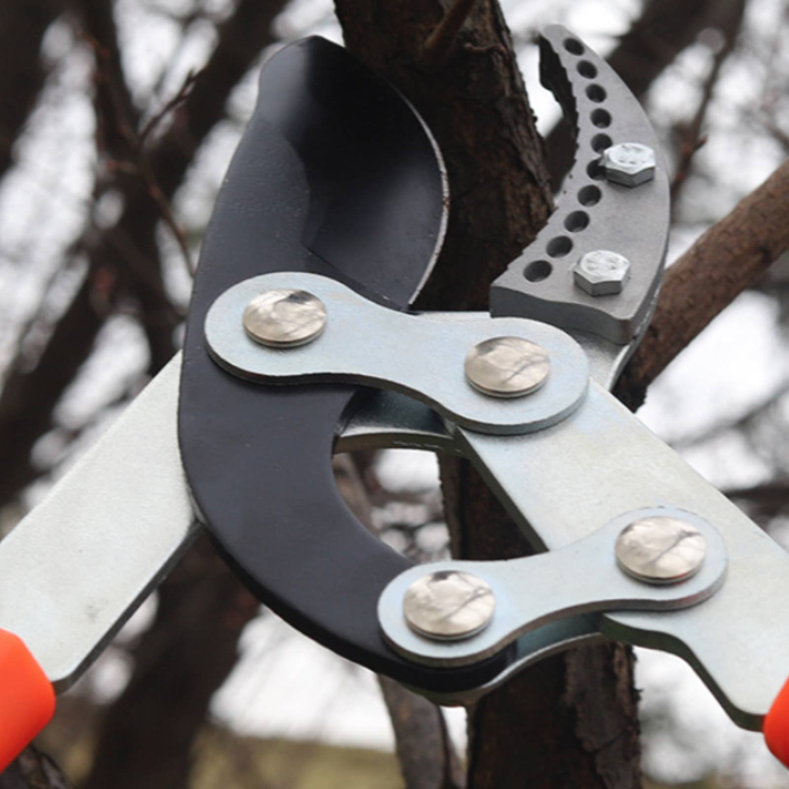 Podadores de Galhos Telescópic - Garden Tools avaliação e preço