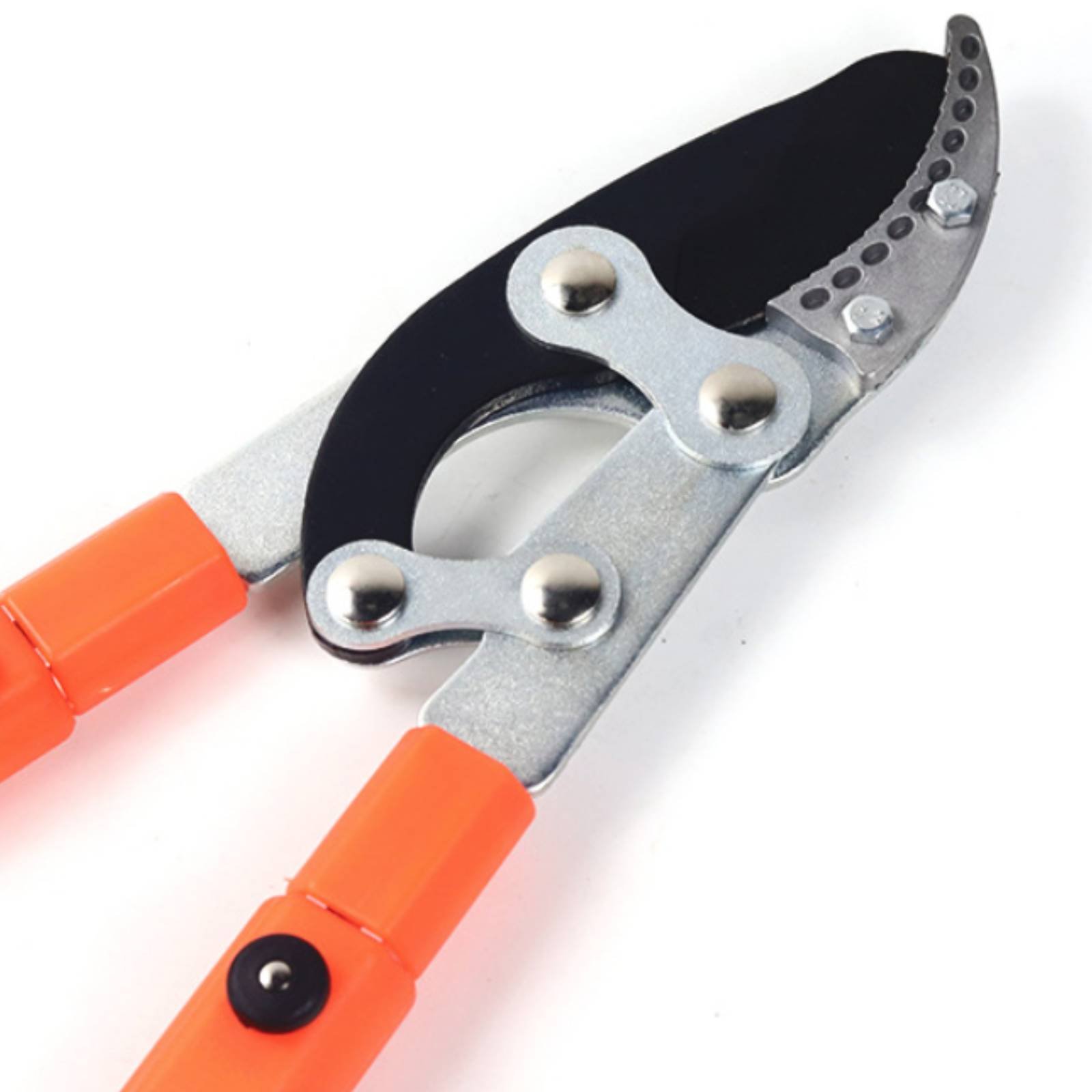 Podadores de Galhos Telescópic - Garden Tools avaliação e preço